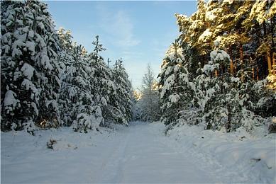 Steam冬季特卖开启 《黑神话》价格依旧坚挺