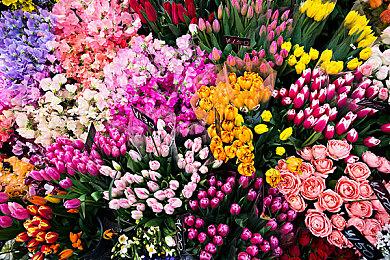 《上古卷轴5：天际》销量超过了6000万套